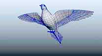 animation_pigeon